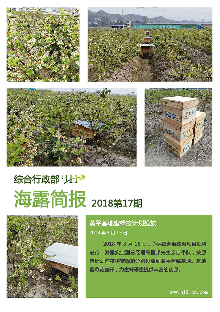 yl23455永利集团(Macau)有限公司官网-Official website