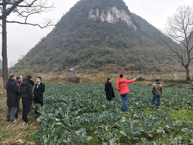 yl23455永利集团(Macau)有限公司官网-Official website