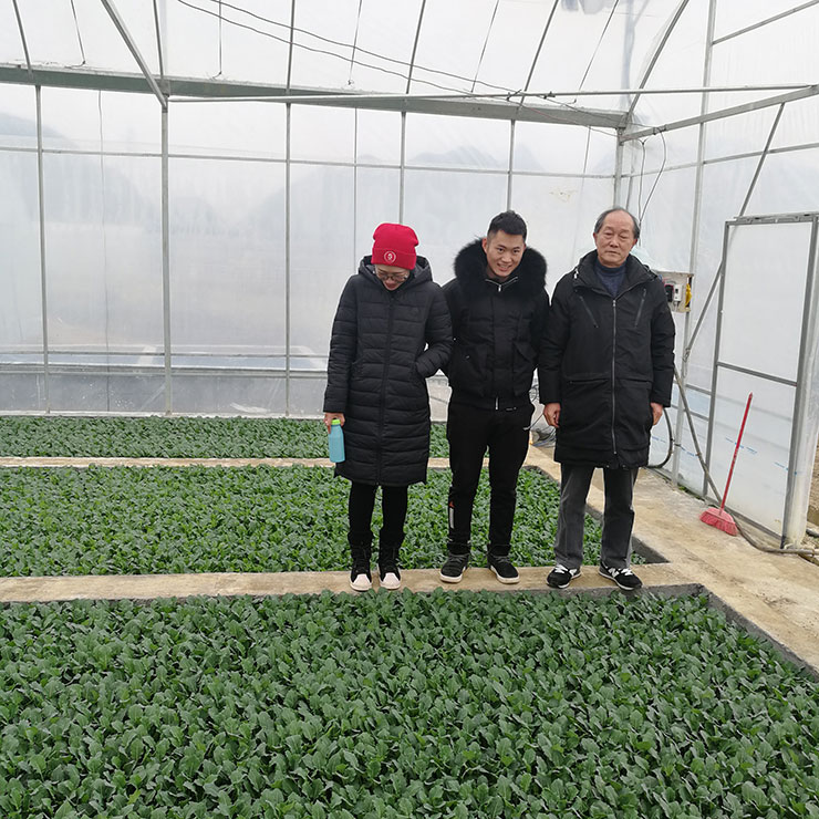 yl23455永利集团(Macau)有限公司官网-Official website