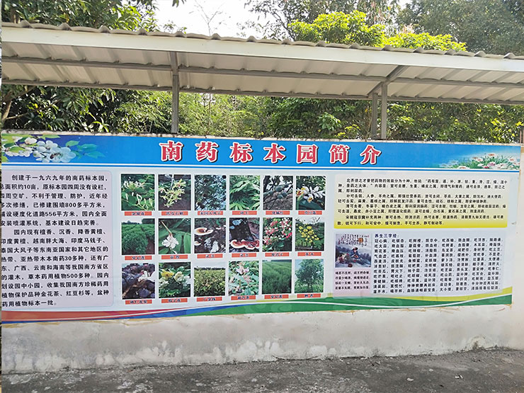 yl23455永利集团(Macau)有限公司官网-Official website