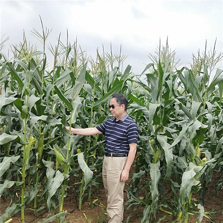 yl23455永利集团(Macau)有限公司官网-Official website