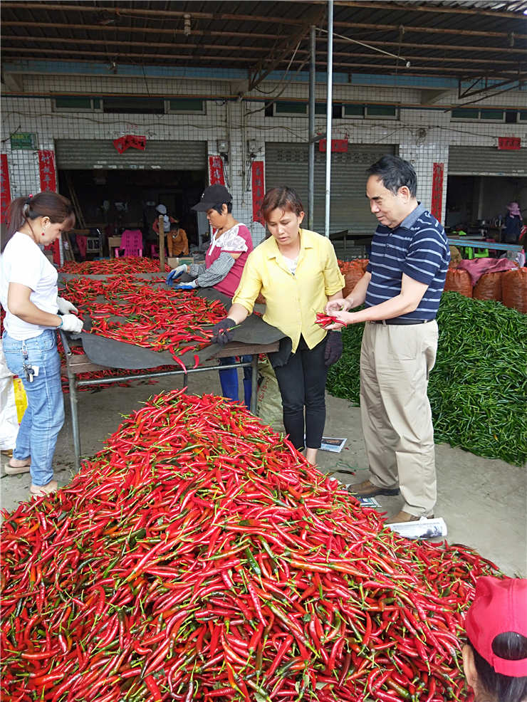 yl23455永利集团(Macau)有限公司官网-Official website