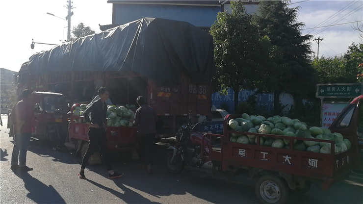 yl23455永利集团(Macau)有限公司官网-Official website