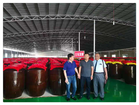 yl23455永利集团(Macau)有限公司官网-Official website