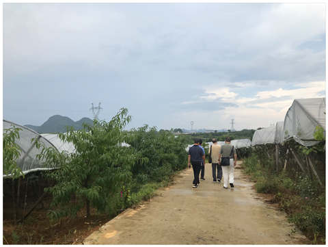 yl23455永利集团(Macau)有限公司官网-Official website