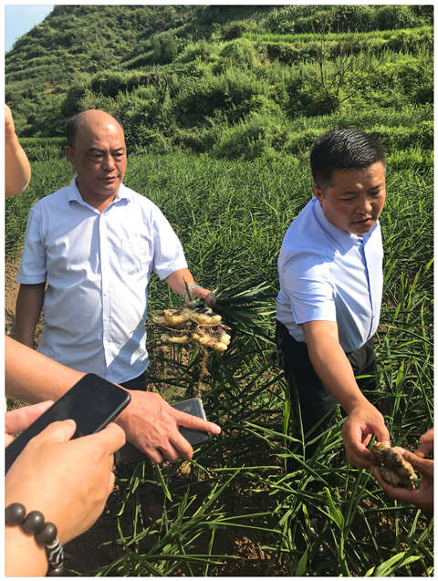 yl23455永利集团(Macau)有限公司官网-Official website