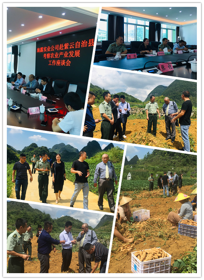 yl23455永利集团(Macau)有限公司官网-Official website