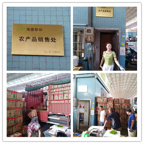 yl23455永利集团(Macau)有限公司官网-Official website