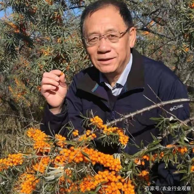 yl23455永利集团(Macau)有限公司官网-Official website