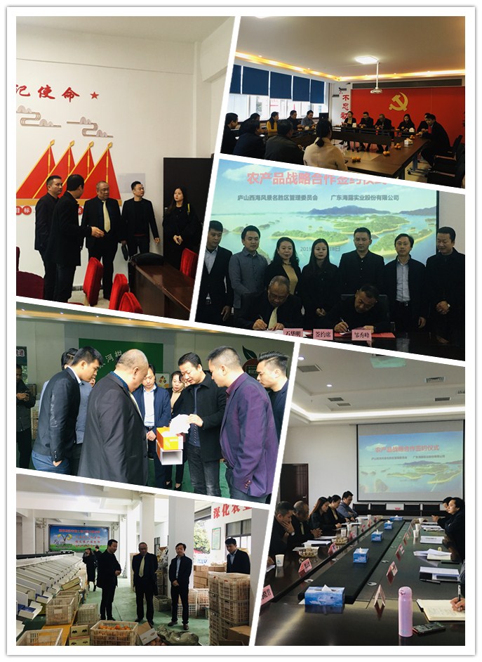 yl23455永利集团(Macau)有限公司官网-Official website