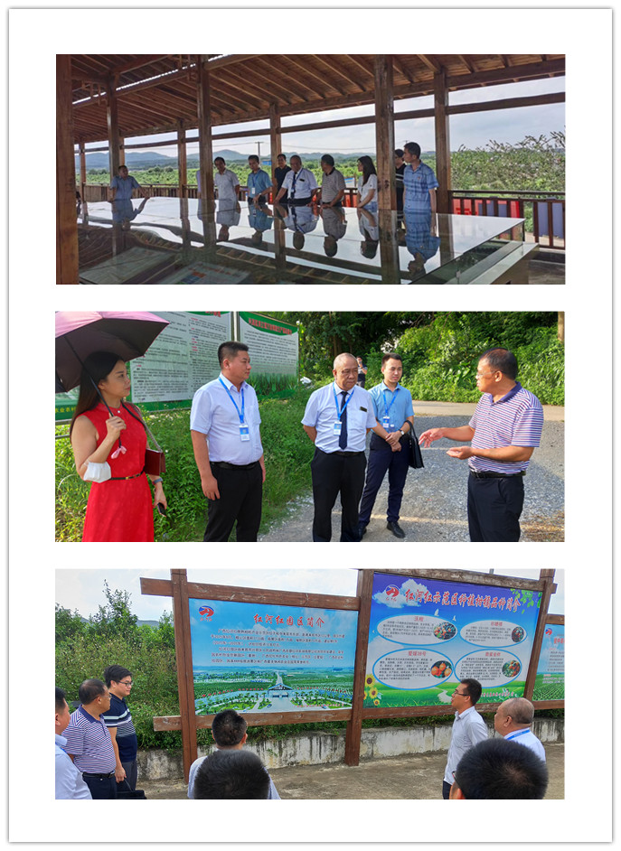 yl23455永利集团(Macau)有限公司官网-Official website