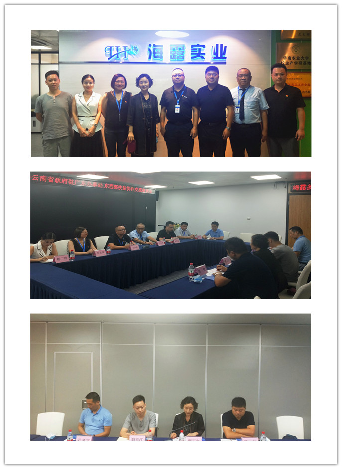 yl23455永利集团(Macau)有限公司官网-Official website