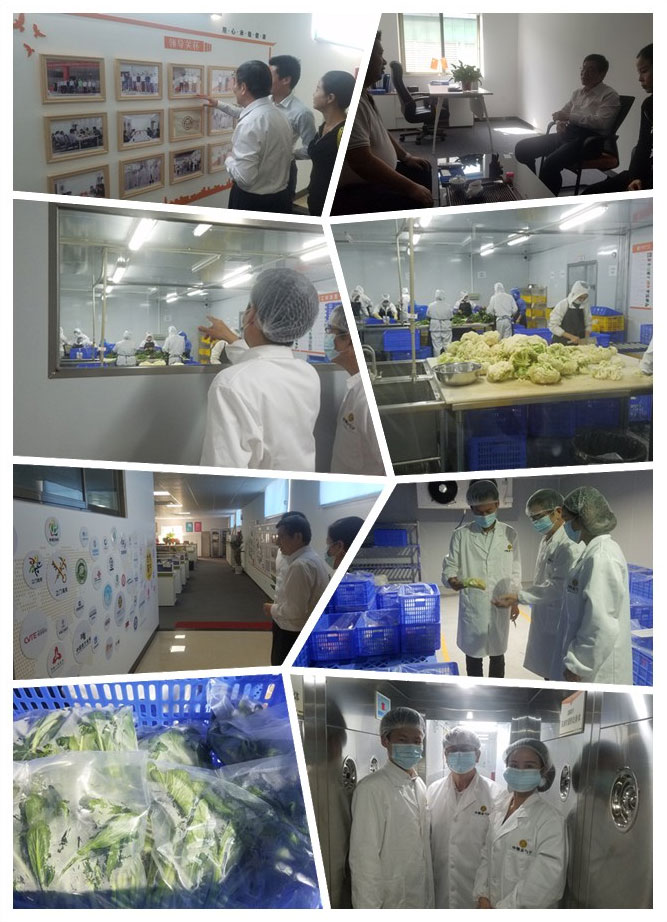yl23455永利集团(Macau)有限公司官网-Official website