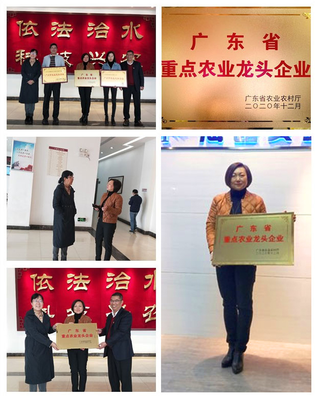 yl23455永利集团(Macau)有限公司官网-Official website