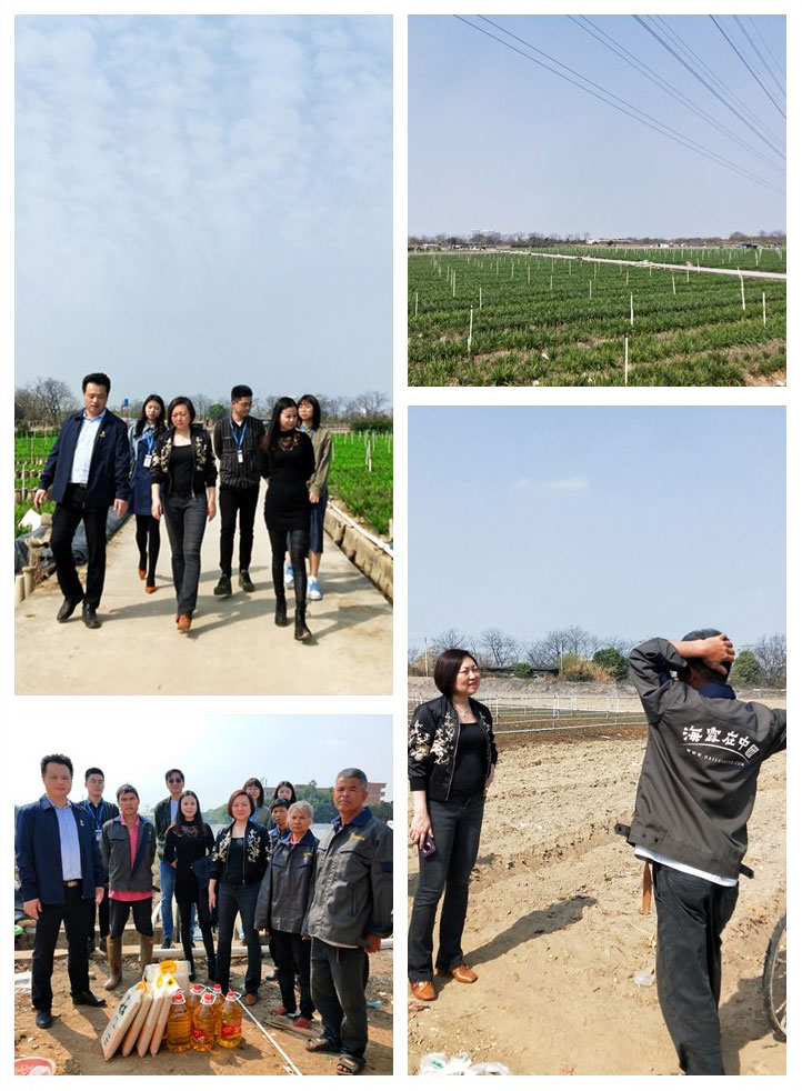 yl23455永利集团(Macau)有限公司官网-Official website