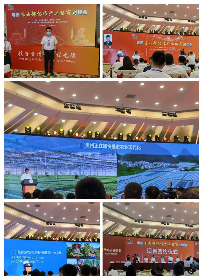 yl23455永利集团(Macau)有限公司官网-Official website