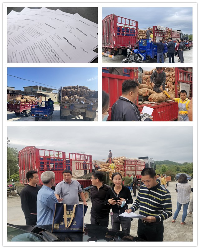 yl23455永利集团(Macau)有限公司官网-Official website