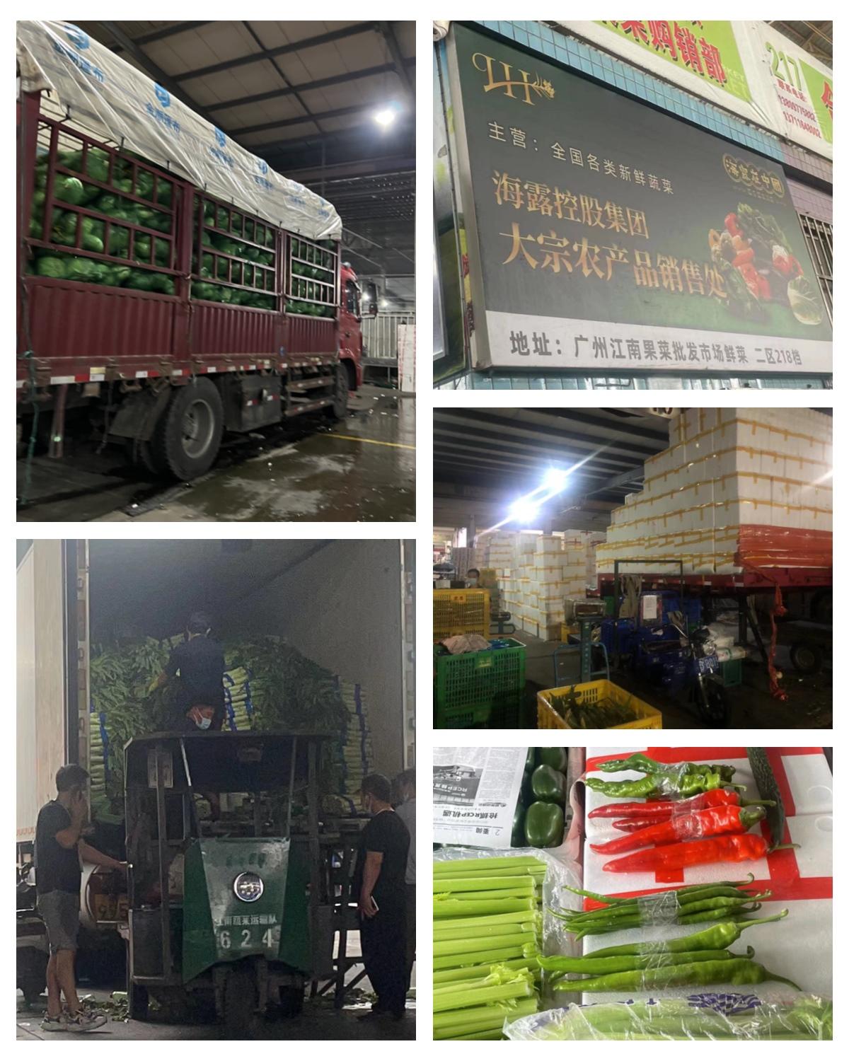 yl23455永利集团(Macau)有限公司官网-Official website