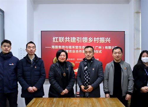 红联共建引领乡村振兴，党建促业务深度融合