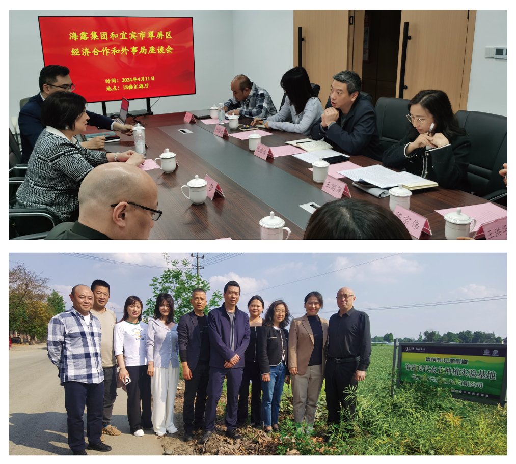 yl23455永利集团(Macau)有限公司官网-Official website