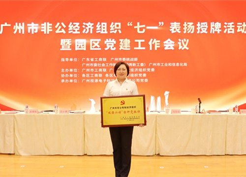 标杆引领，荣誉升级！集团党支部荣膺广州市非公有制经济组织“双强六好”标