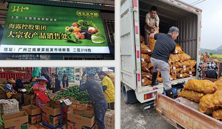 yl23455永利集团(Macau)有限公司官网-Official website