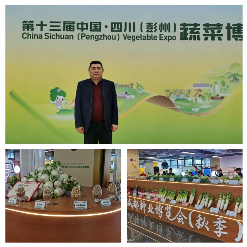 yl23455永利集团(Macau)有限公司官网-Official website