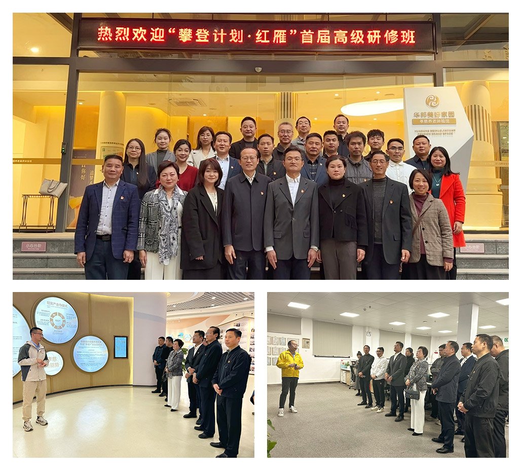 1-241230112Ab00 yl23455永利集团(Macau)有限公司官网-Official website
