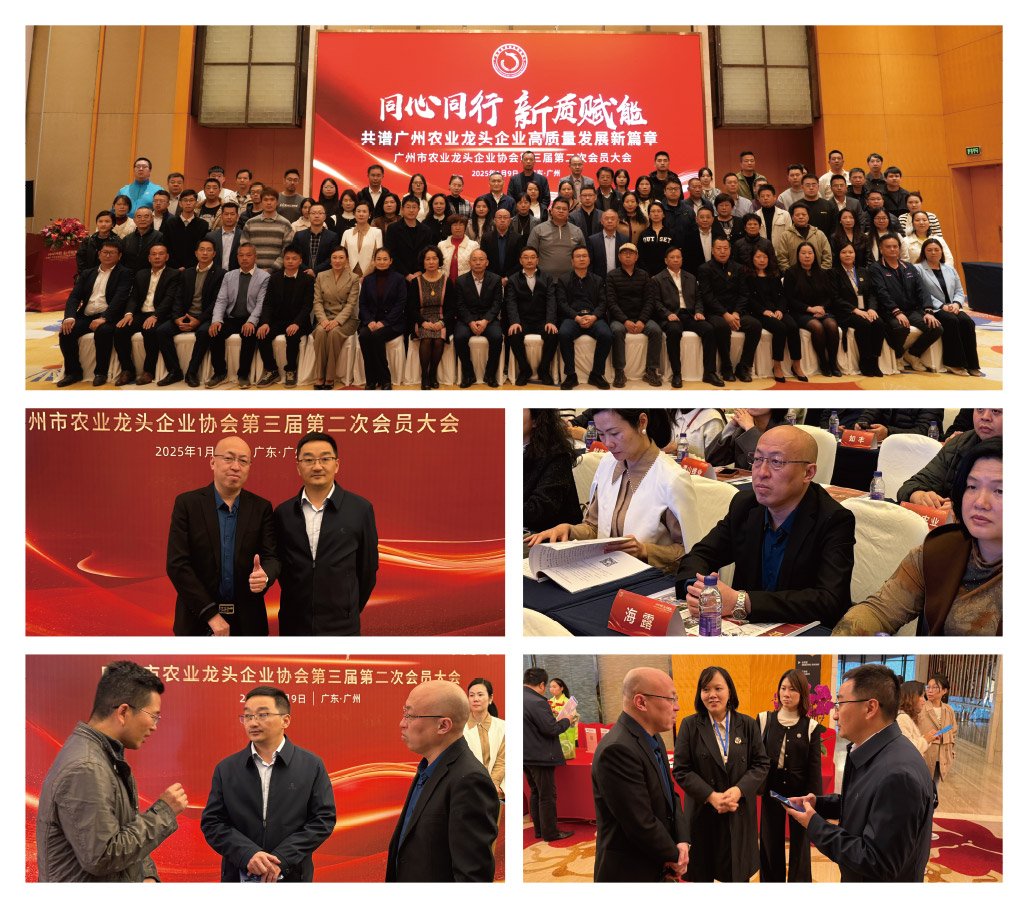 yl23455永利集团(Macau)有限公司官网-Official website