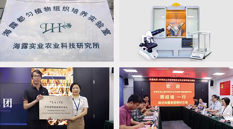 yl23455永利集团(Macau)有限公司官网-Official website