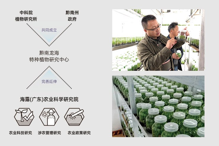 yl23455永利集团(Macau)有限公司官网-Official website