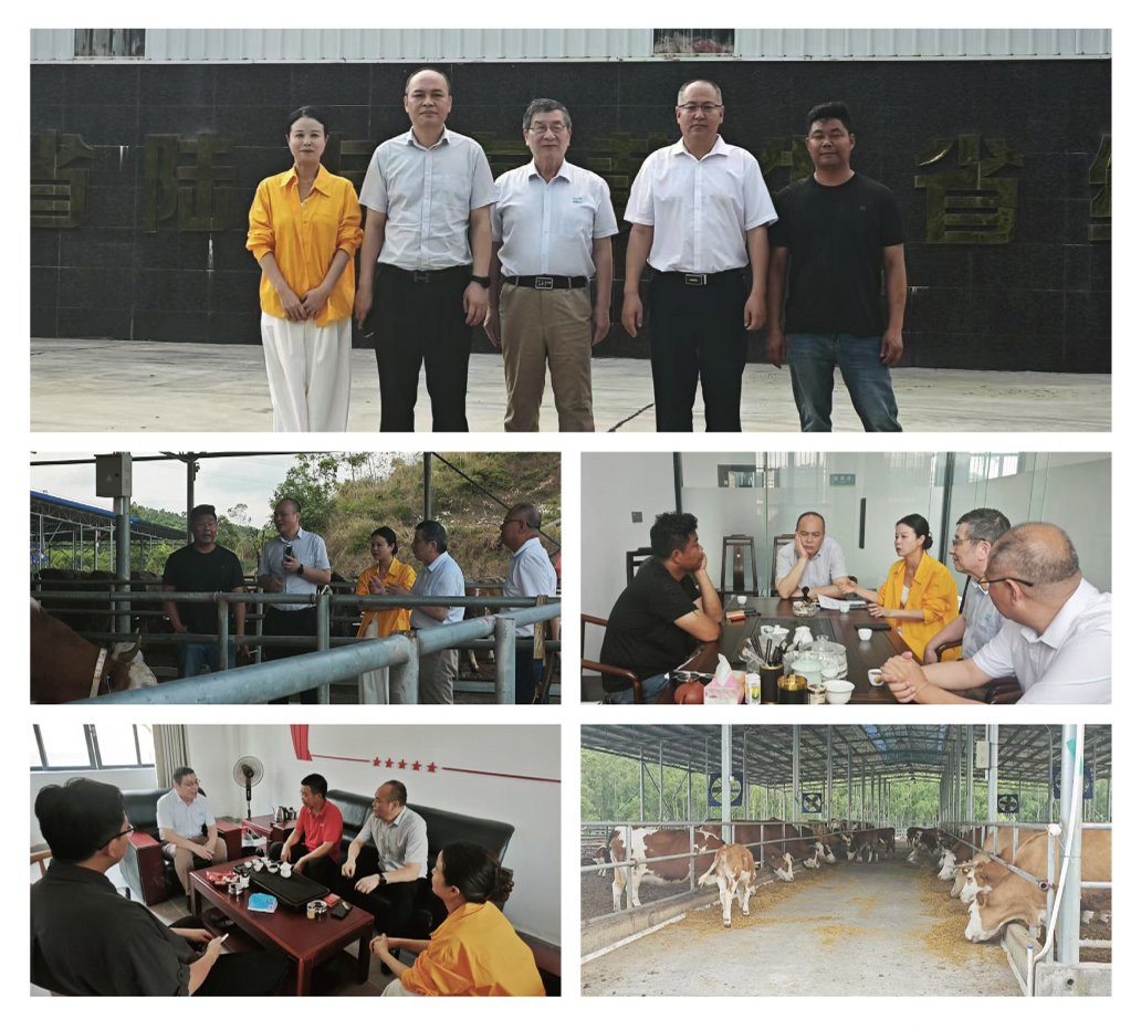 yl23455永利集团(Macau)有限公司官网-Official website
