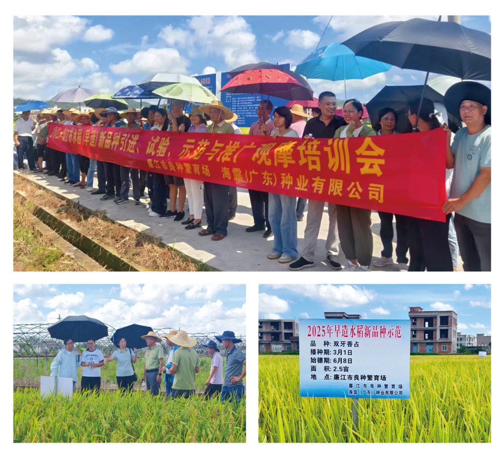 yl23455永利集团(Macau)有限公司官网-Official website