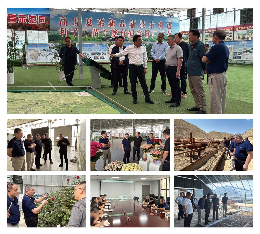 yl23455永利集团(Macau)有限公司官网-Official website