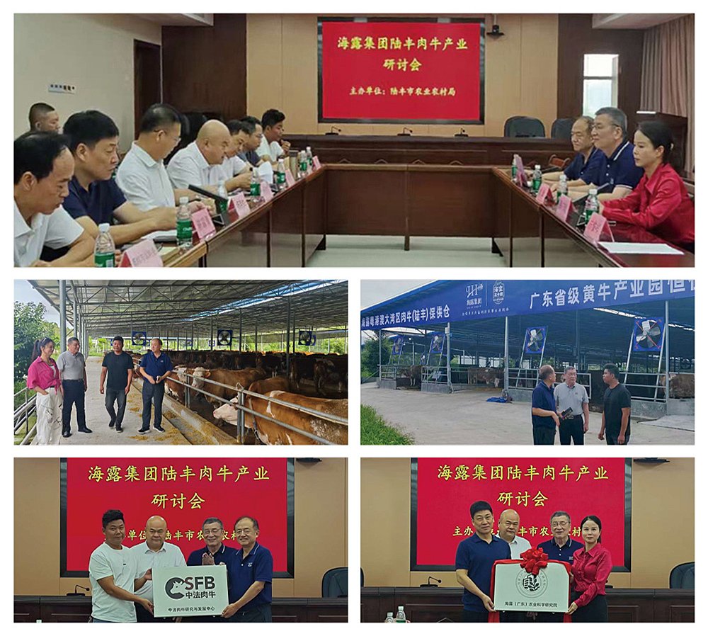 yl23455永利集团(Macau)有限公司官网-Official website