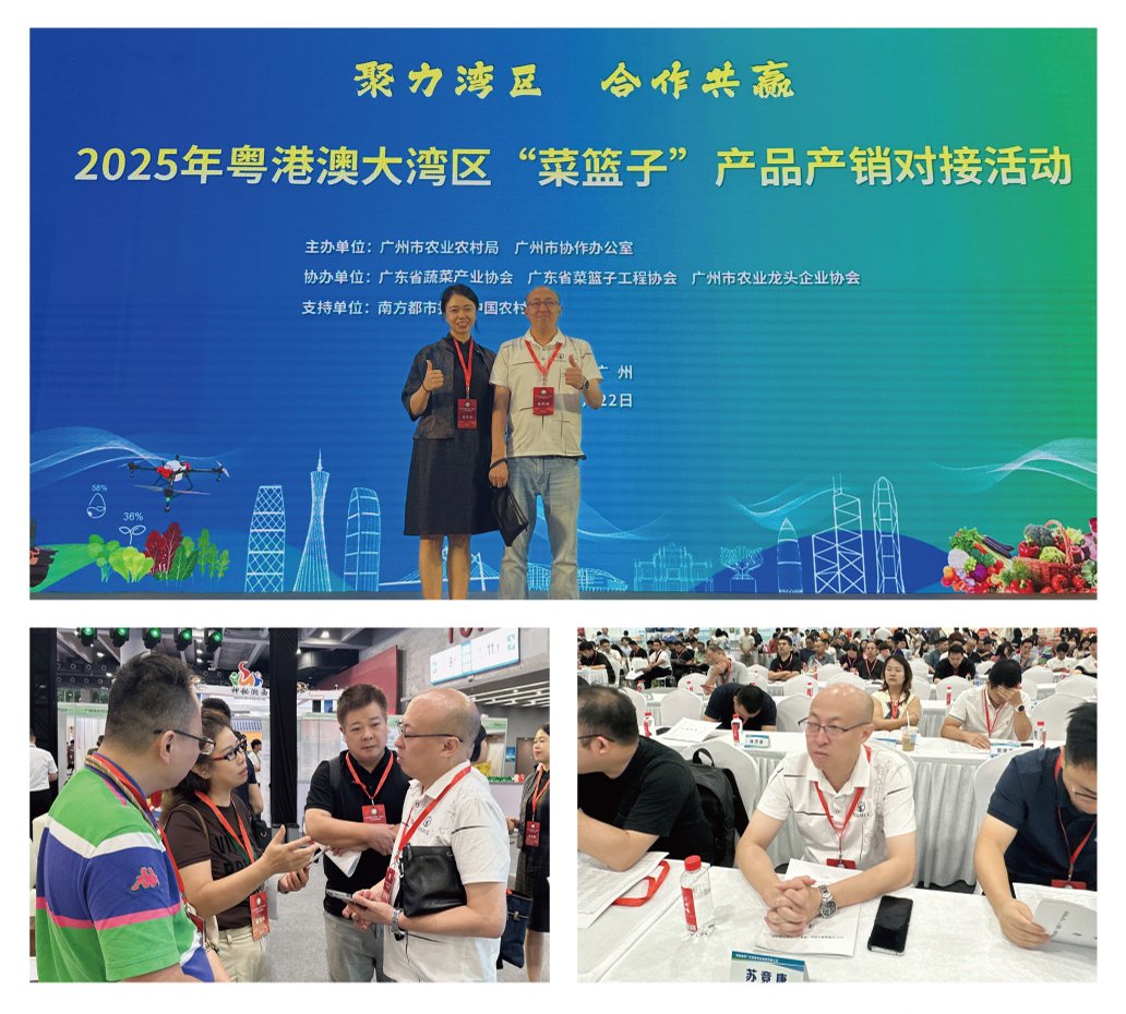 yl23455永利集团(Macau)有限公司官网-Official website