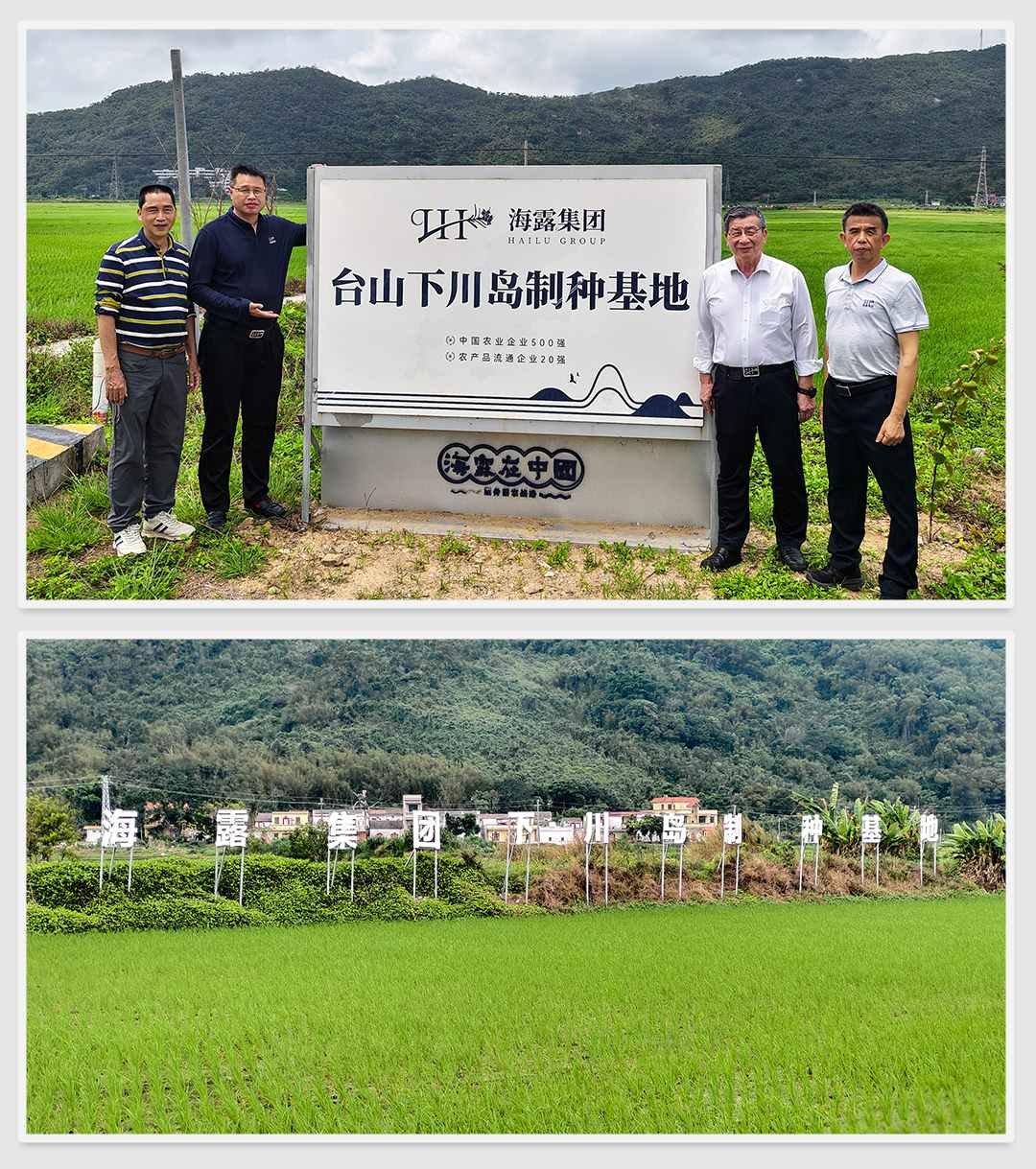 yl23455永利集团(Macau)有限公司官网-Official website